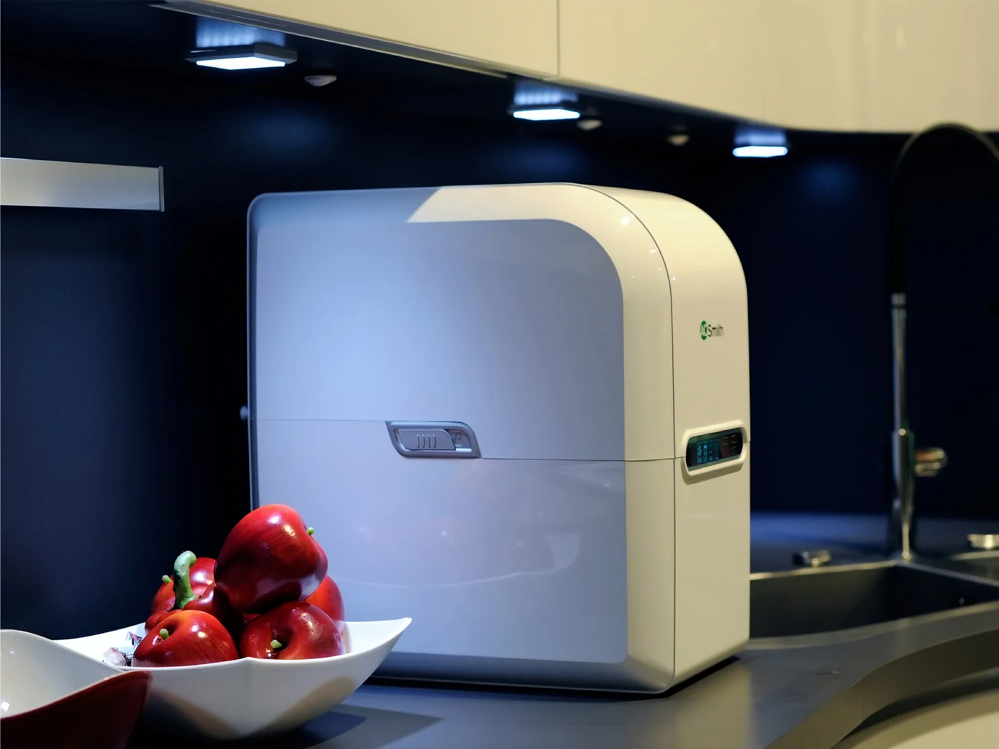 RO gia dinh A.O.Smith AR75 A S 2 10