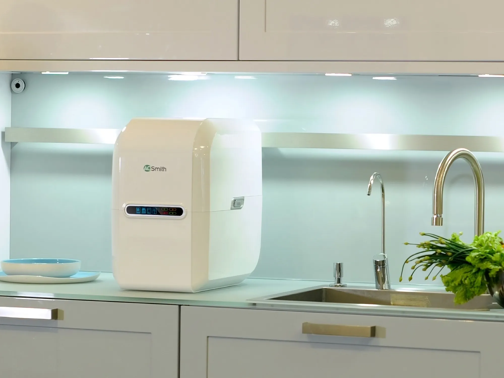 RO gia dinh A.O.Smith AR75 A S 2 6