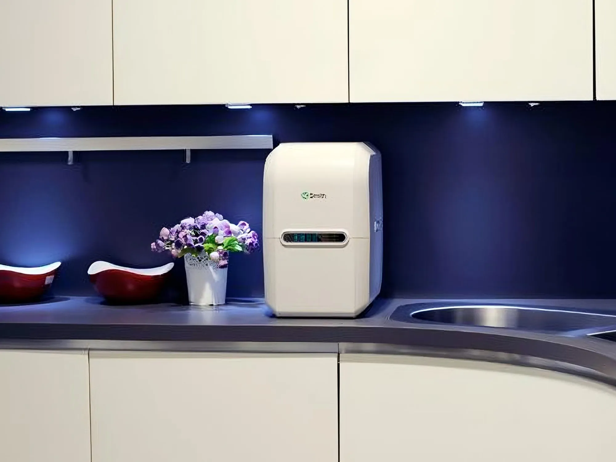 RO gia dinh A.O.Smith AR75 A S 2 8