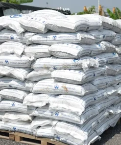 than hoat tinh gao dua 4