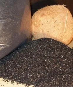 than hoat tinh gao dua 3