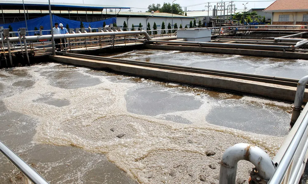 Xử lý nước thải gỗ hiệu quả: Giải pháp toàn diện