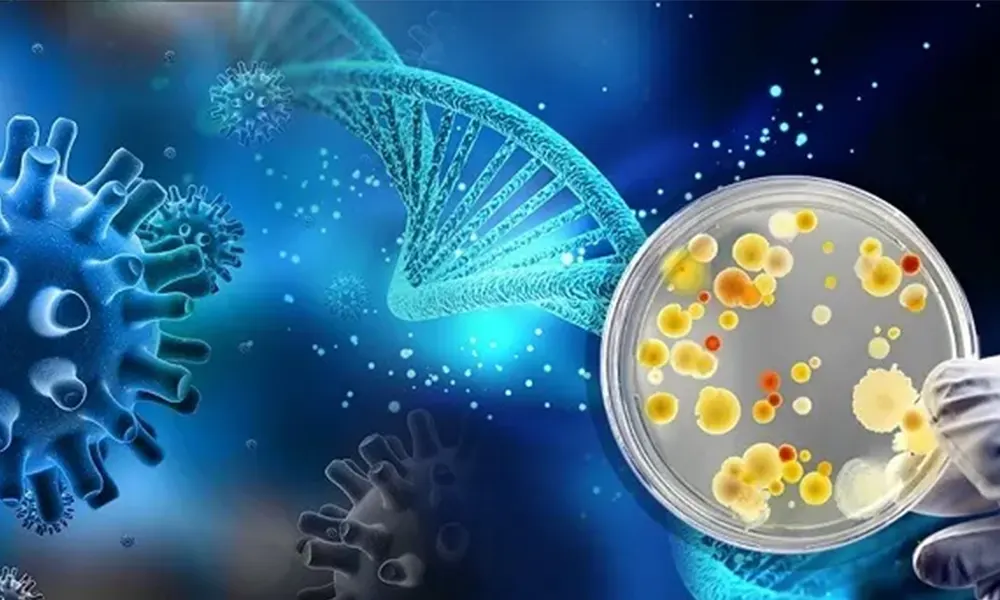 Quy trình xử lý nước thải bằng vi sinh vật: Giải pháp tối ưu