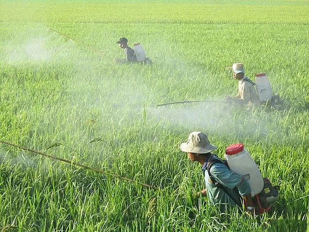Hệ thống xử lý nước thải nông nghiệp hiệu quả 1 Tại sao cần xử lý nước thải nông nghiệp?
