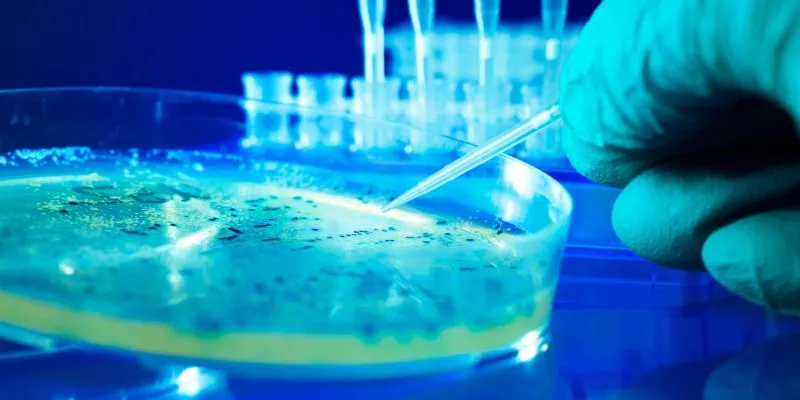 Nuôi cấy vi sinh xử lý nước thải: Giải pháp xanh cho môi trường 2 nuoi cay vi sinh xlnt la gi