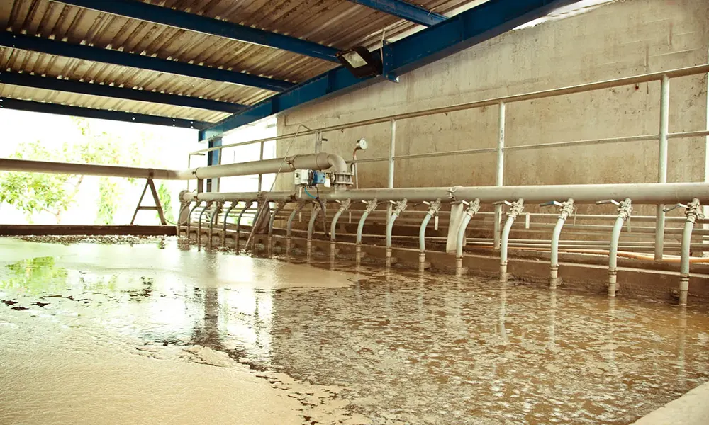 Xử lý nước thải nhà máy giấy: Giải pháp toàn diện