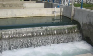 Xử lý nước thải thủy sản