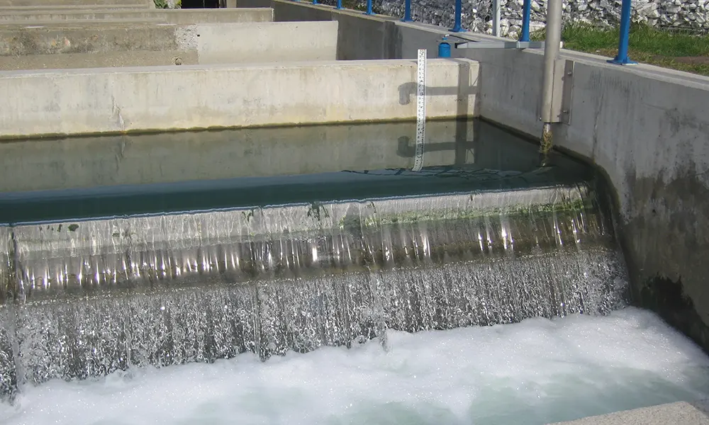 Xử lý nước thải thủy sản: Giải pháp toàn diện