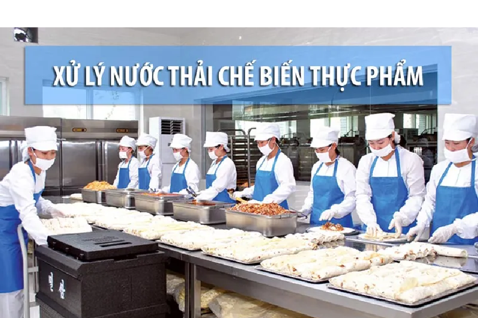 Xử Lý Nước Thải Chế Biến Thực Phẩm: Giải Pháp Hiệu Quả Cho Ngành Công Nghiệp 9 Xu Ly Nuoc Thai Che Bien Thuc Pham