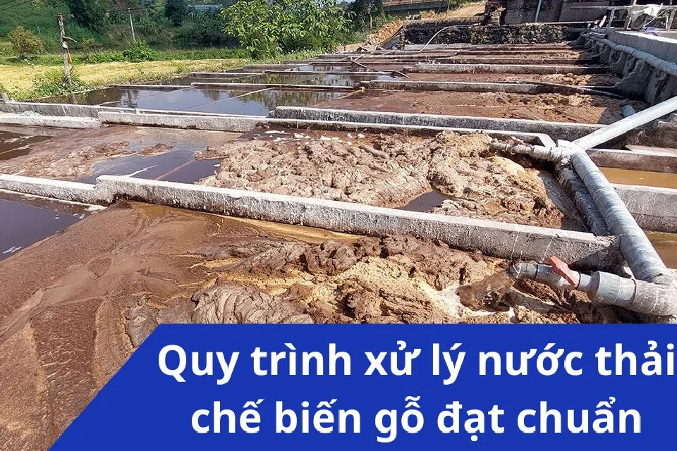 Xử Lý Nước Thải Ngành Gỗ: Giải Pháp Hiệu Quả Năm 2026 3 Xu ly nuoc thai nganh go