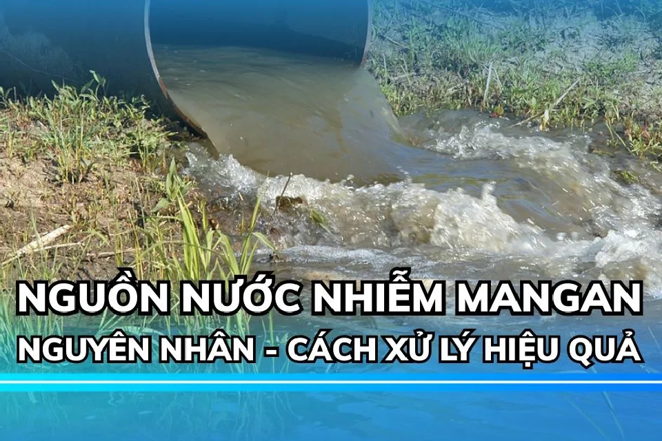nuoc nhiem mangan