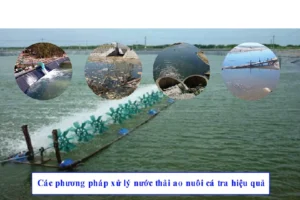 xu ly nuoc thai ao nuoi ca tra