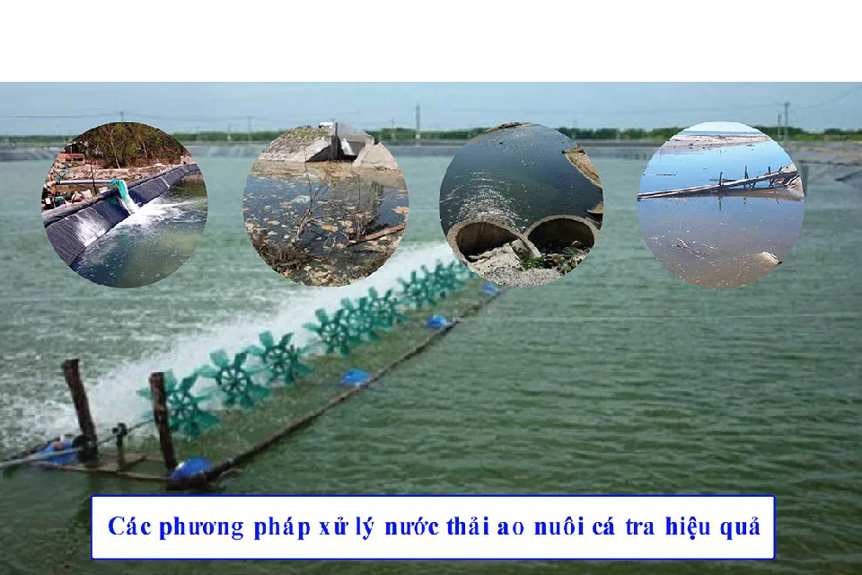 xu ly nuoc thai ao nuoi ca tra