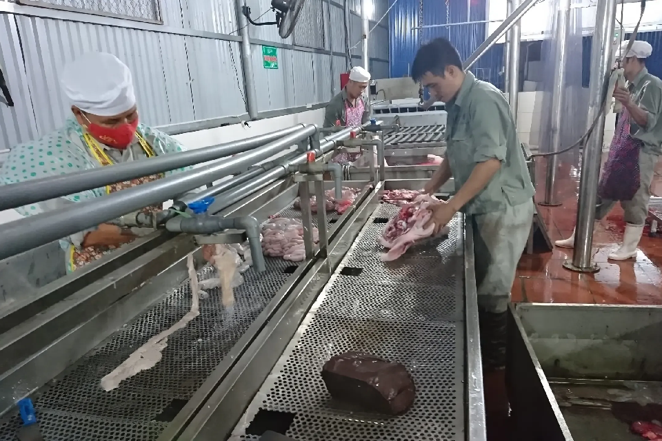 xu ly nuoc thai giet mo gia suc