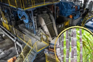 xu ly nuoc thai san xuat mia duong