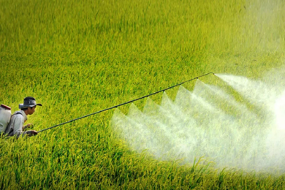 Xử Lý Nước Thải Thuốc Bảo Vệ Thực Vật: Giải Pháp Hiệu Quả Cho Môi Trường 10 xu ly nuoc thai thuoc bao ve thuc vat