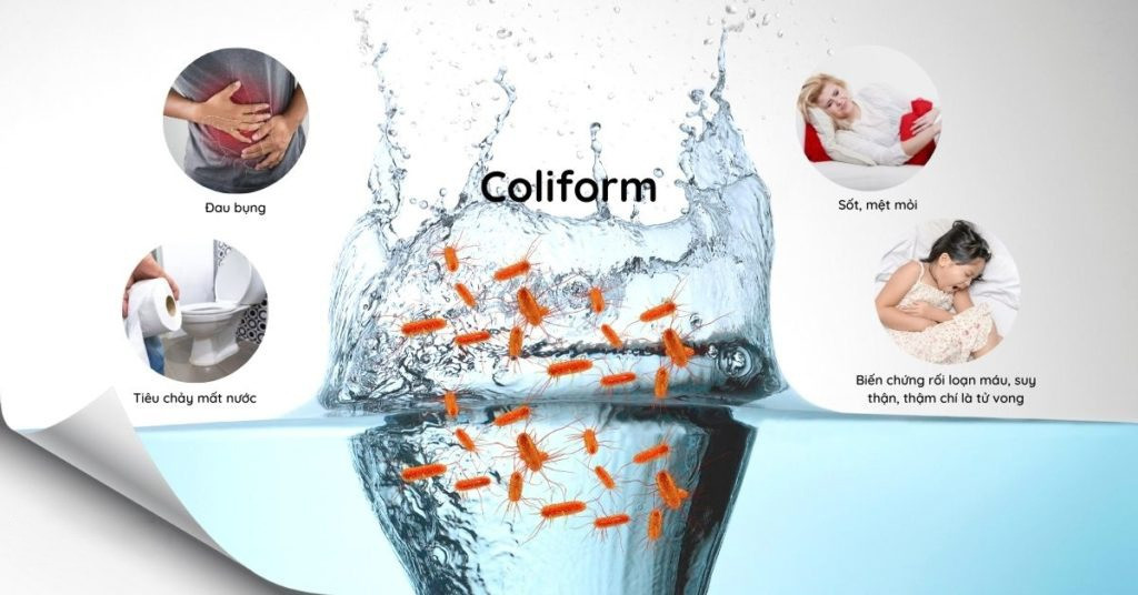 Xử Lý Coliform Trong Nước Thải: Giải Pháp Hiệu Quả Năm 2026 3 image 1 1
