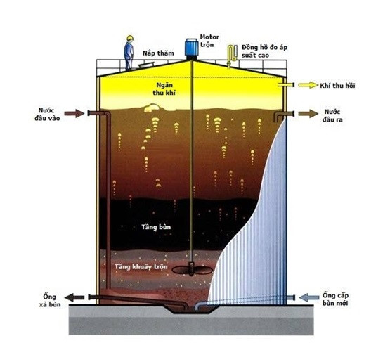 Vi Sinh Vật Kỵ Khí Trong Xử Lý Nước Thải: Giải Pháp Hiệu Quả 2026 3 image 1 16