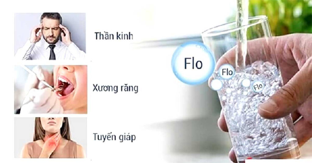 Xử Lý Flo Trong Nước Thải: Giải Pháp Hiệu Quả Cho Môi Trường 2 image 24