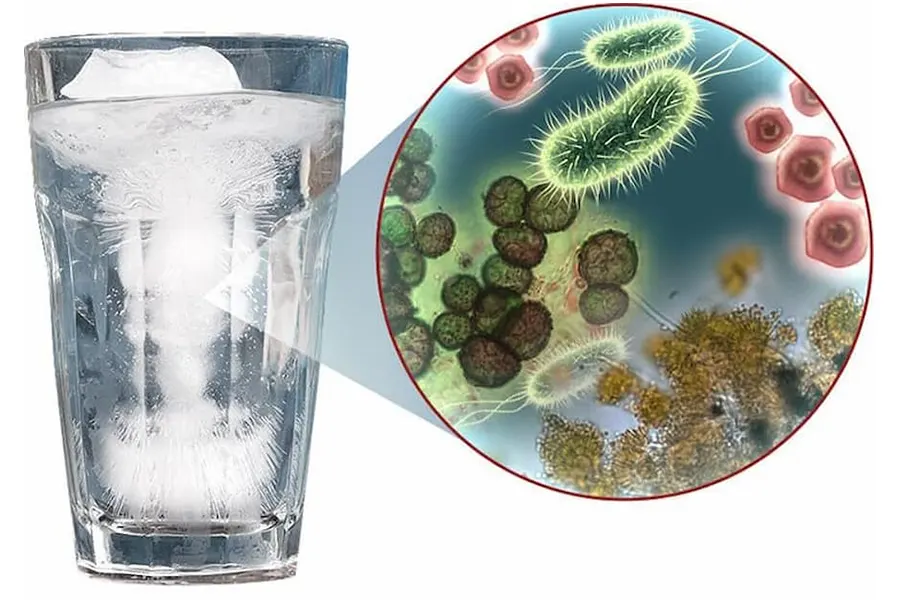 Xử Lý Coliform Trong Nước Thải: Giải Pháp Hiệu Quả Năm 2026 2 image