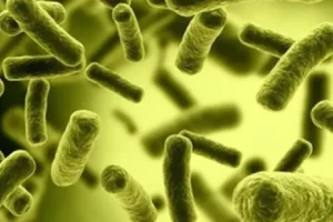 xu ly coliform trong nuoc thai
