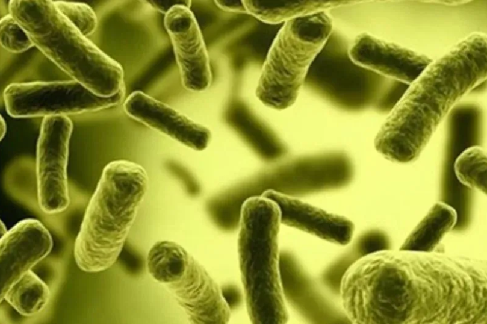 Xử Lý Coliform Trong Nước Thải: Giải Pháp Hiệu Quả Năm 2026 1 xu ly coliform trong nuoc thai