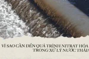 xu ly nitrat trong nuoc