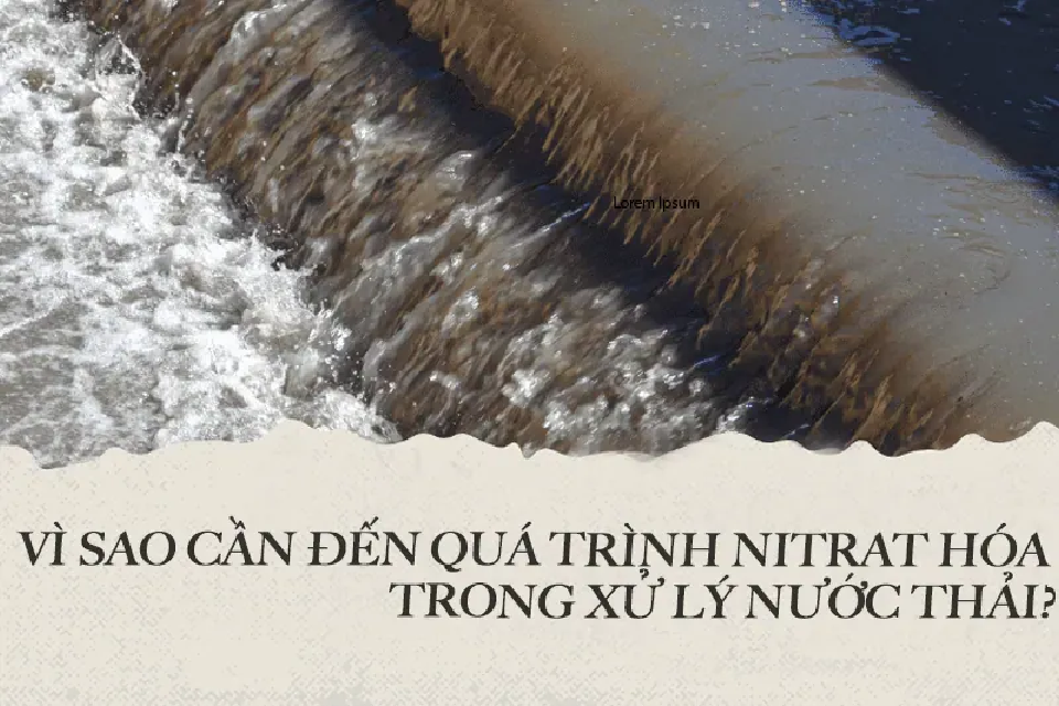 xu ly nitrat trong nuoc