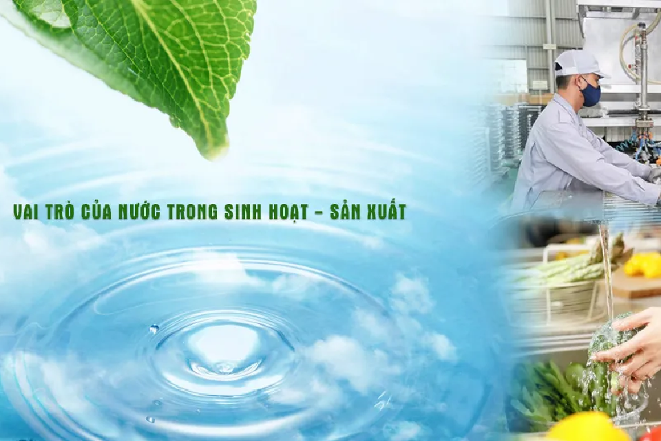 Vai Tro Cua Nuoc Trong San Xuat Thuc Pham Chuan QCVN